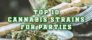 Top 10 Cannabis Strains for Parties